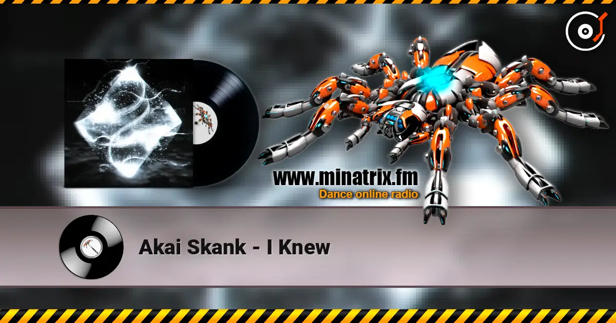 Akai Skank - I Knew 高品质在线收听 | Minatrix.FM
