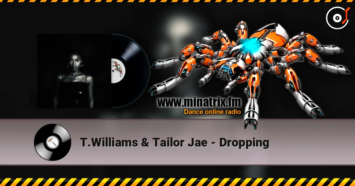 T.Williams  & Tailor Jae - Dropping 高品质在线收听 | Minatrix.FM