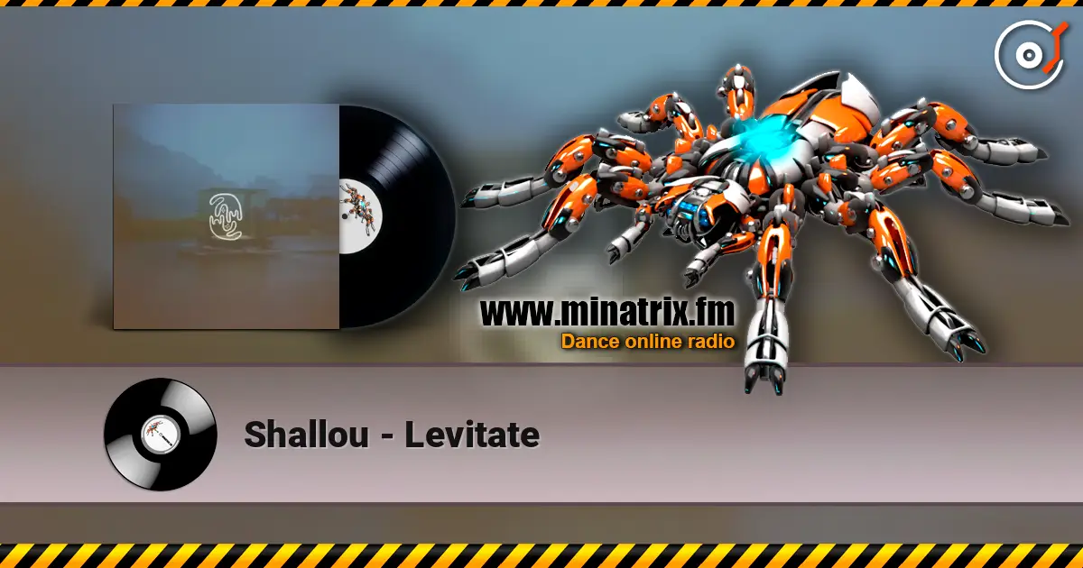 Shallou - Levitate жоғары сапада онлайн тыңдау | Minatrix.FM