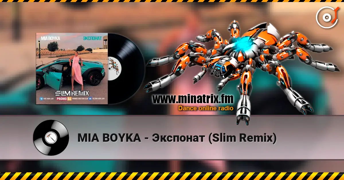 MIA BOYKA - Экспонат (Slim Remix) жоғары сапада онлайн тыңдау | Minatrix.FM
