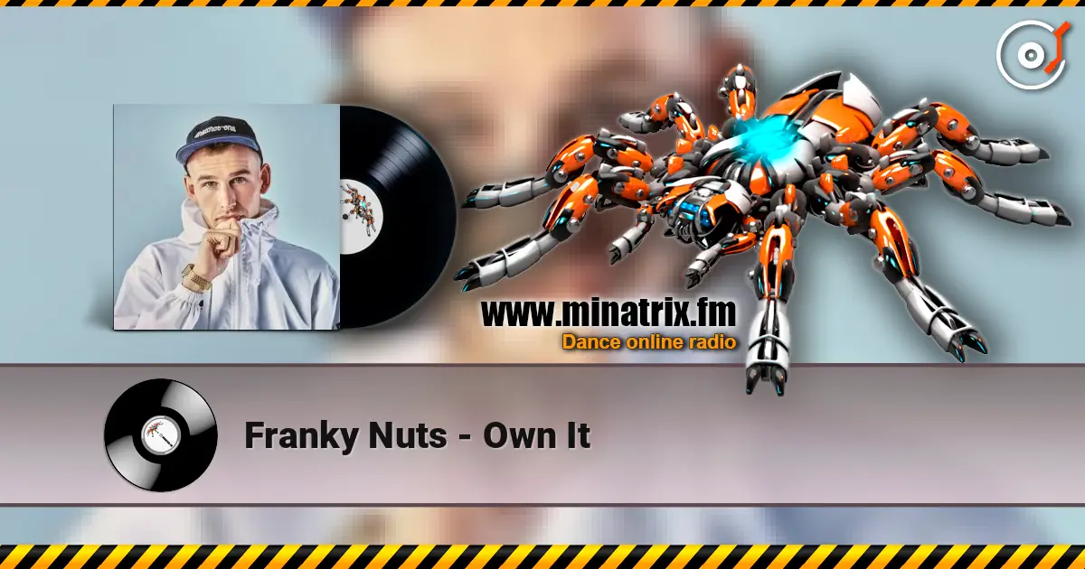 Franky Nuts - Own It escuchar online en alta calidad | Minatrix.FM