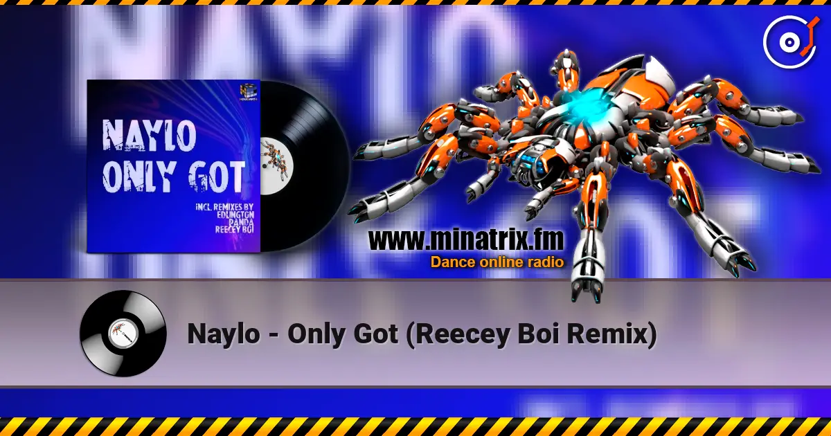 Naylo - Only Got (Reecey Boi Remix) жоғары сапада онлайн тыңдау | Minatrix.FM