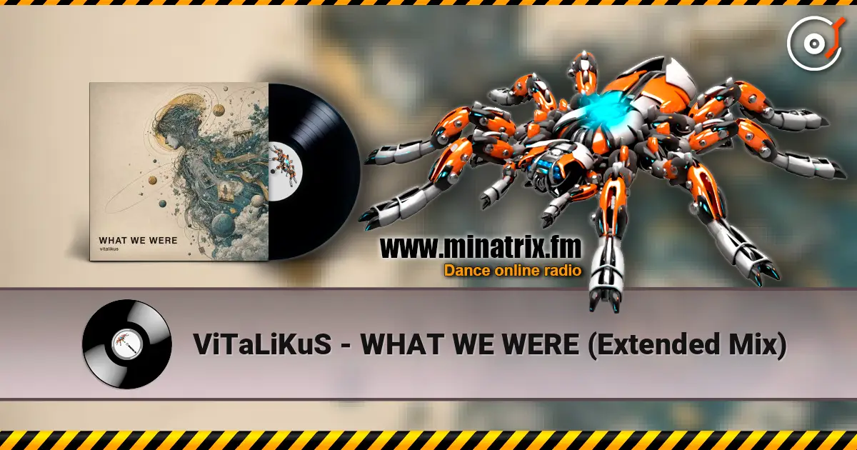 ViTaLiKuS - WHAT WE WERE (Extended Mix) жоғары сапада онлайн тыңдау | Minatrix.FM