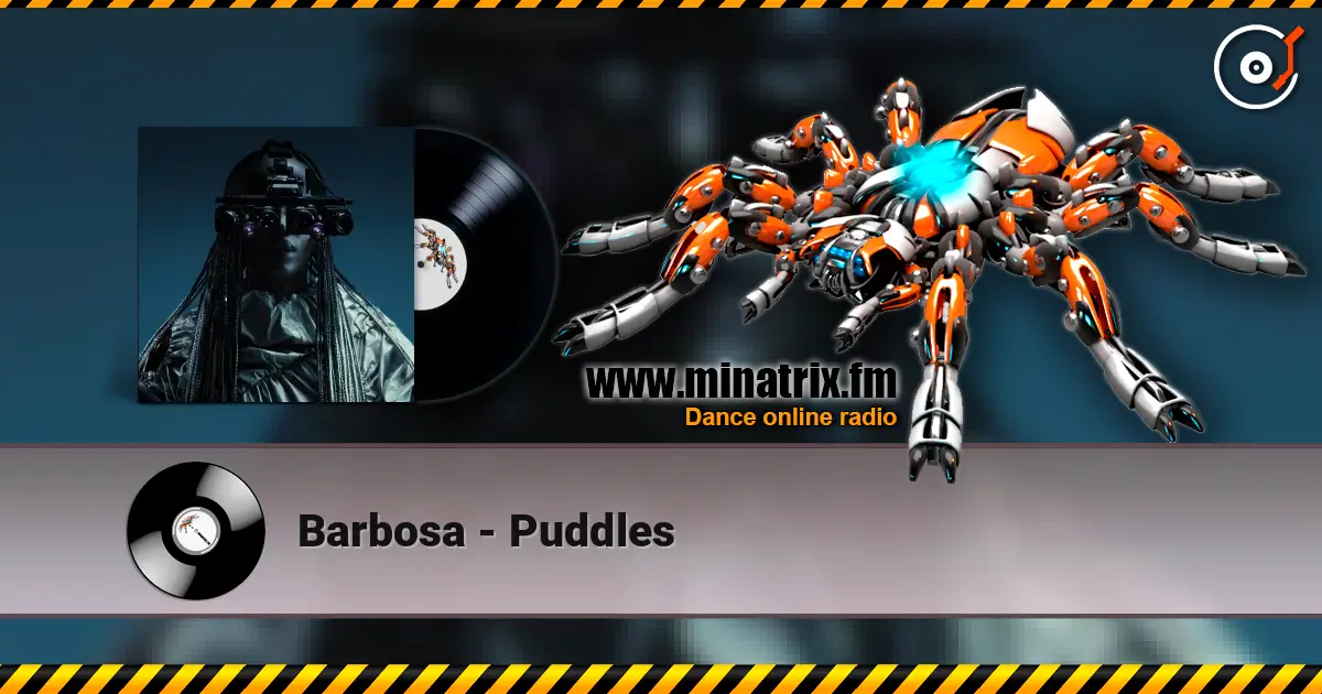Barbosa - Puddles жоғары сапада онлайн тыңдау | Minatrix.FM