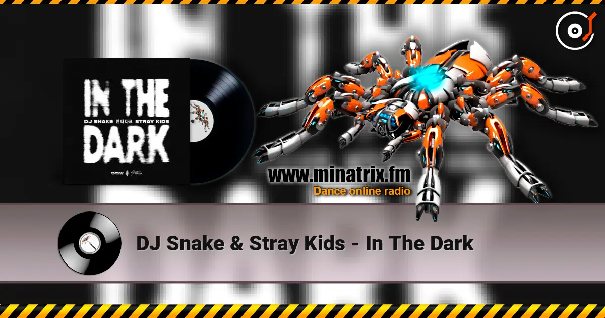 DJ Snake & Stray Kids - In The Dark жоғары сапада онлайн тыңдау | Minatrix.FM