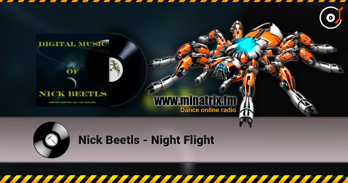 Nick Beetls - Night Flight жоғары сапада онлайн тыңдау | Minatrix.FM