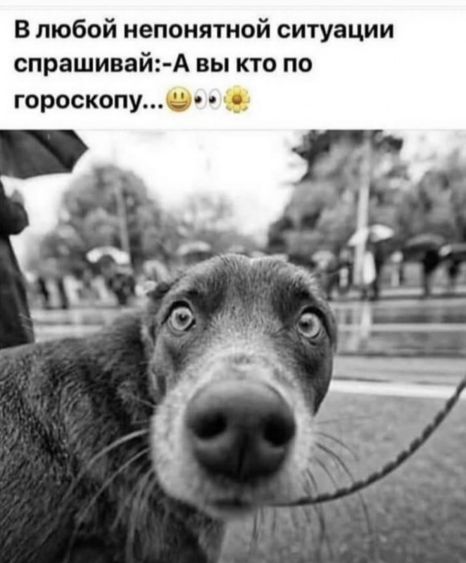 Сурет