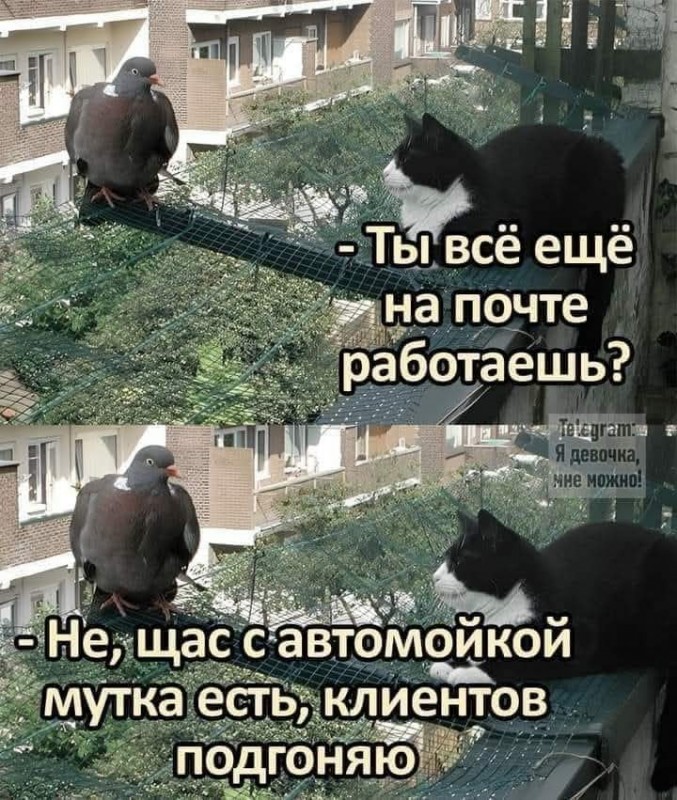 Сурет